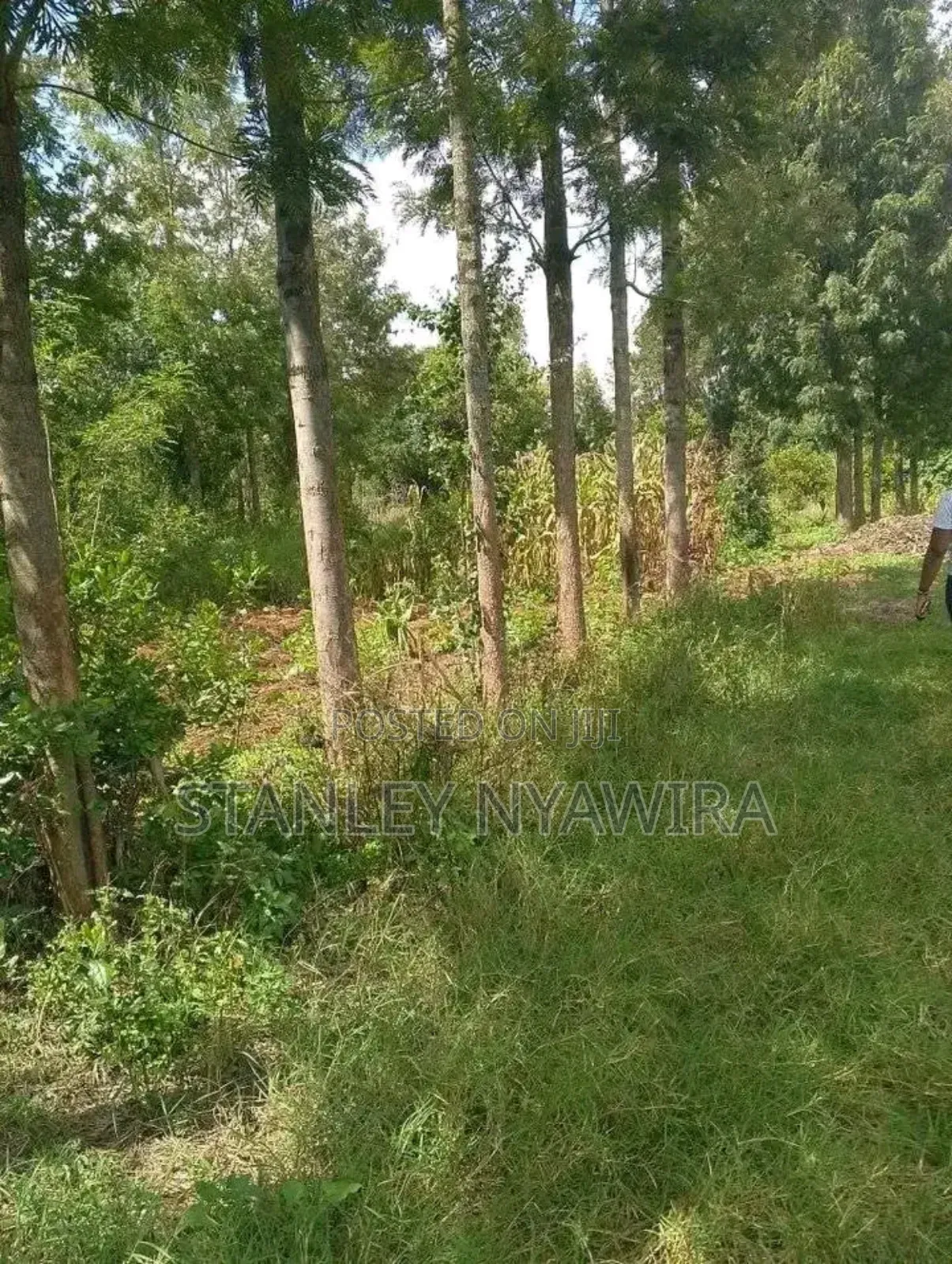 2 Acres Fronting River in Nanyuki for Sale