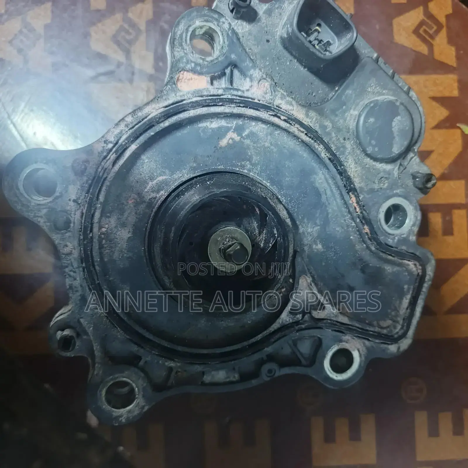 Hybid Water Pump