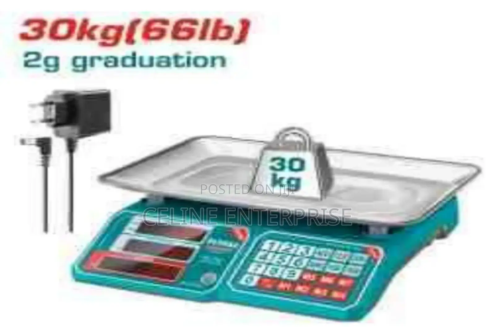 Electronic Scale