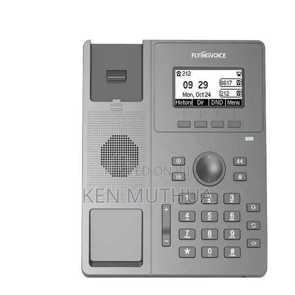 Flyingvoice P10 / P10p / P10g High Performance Ip Phones