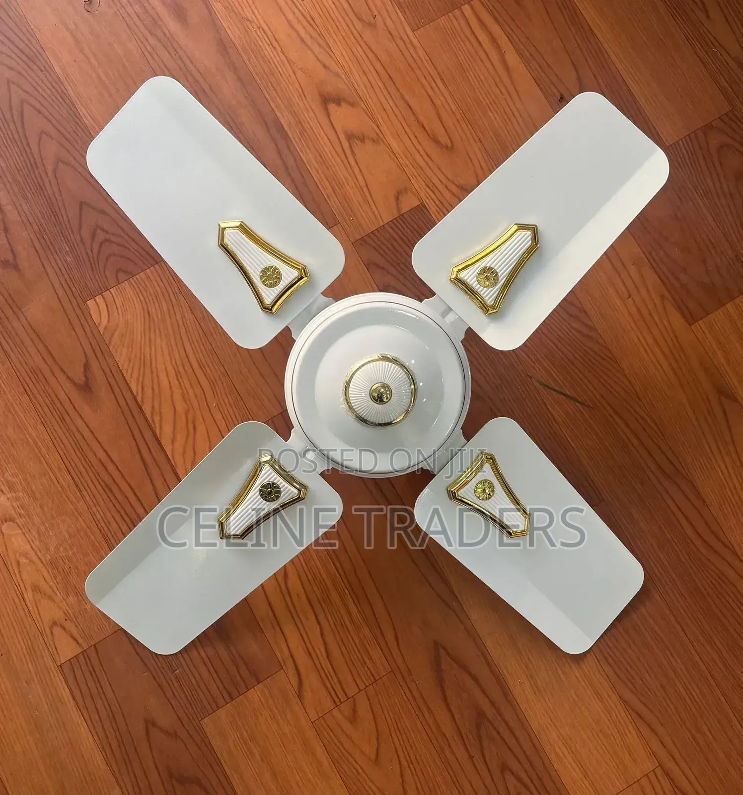 Roch 24 Inches Ceiling Fan