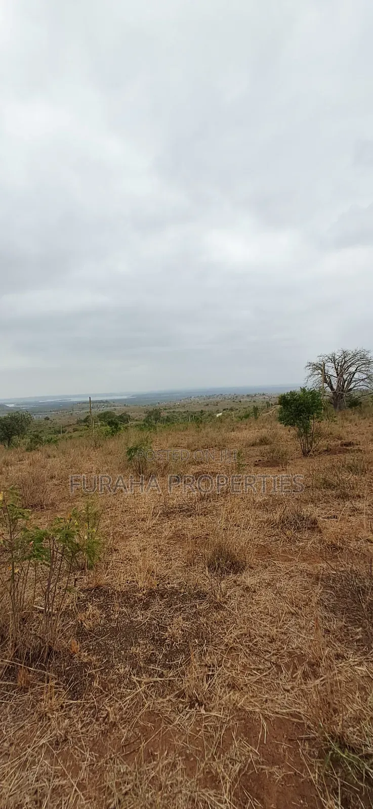 For Sale 3 Acres Prime Land Bonje Mazeras