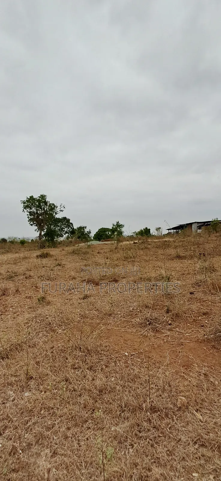 For Sale 3 Acres Prime Land Bonje Mazeras