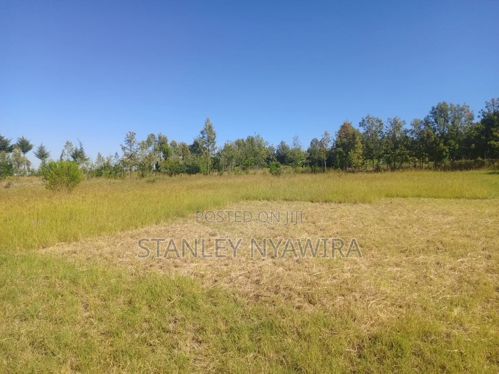3 Acreas for Sale Nanyuki