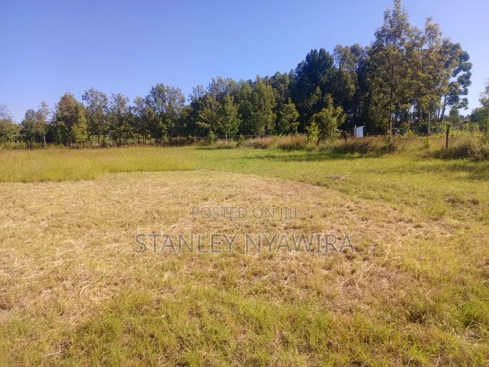 3 Acreas for Sale Nanyuki