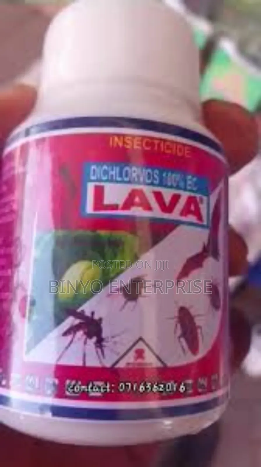 Lava Pest Control