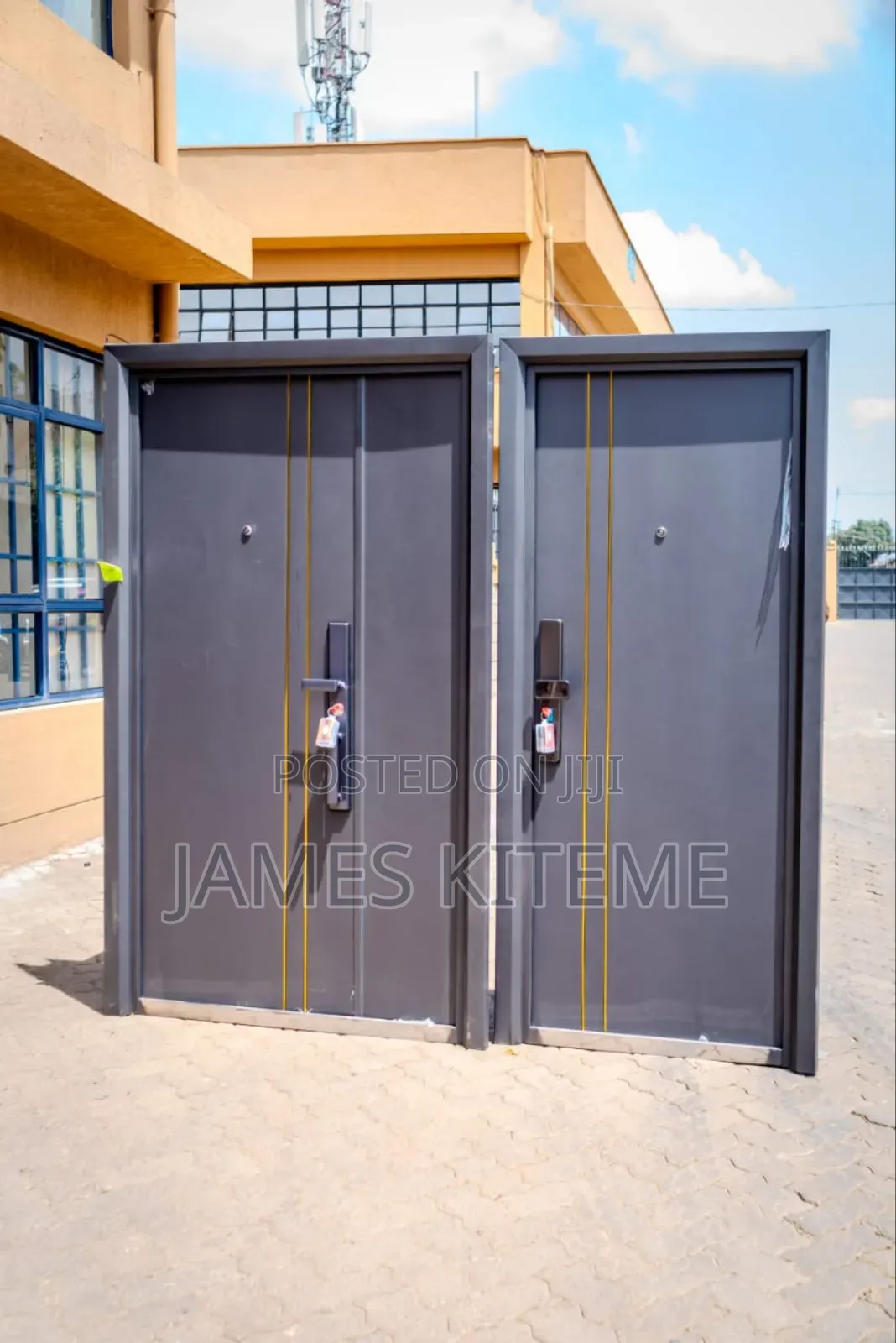 Goldish Lines Double Door