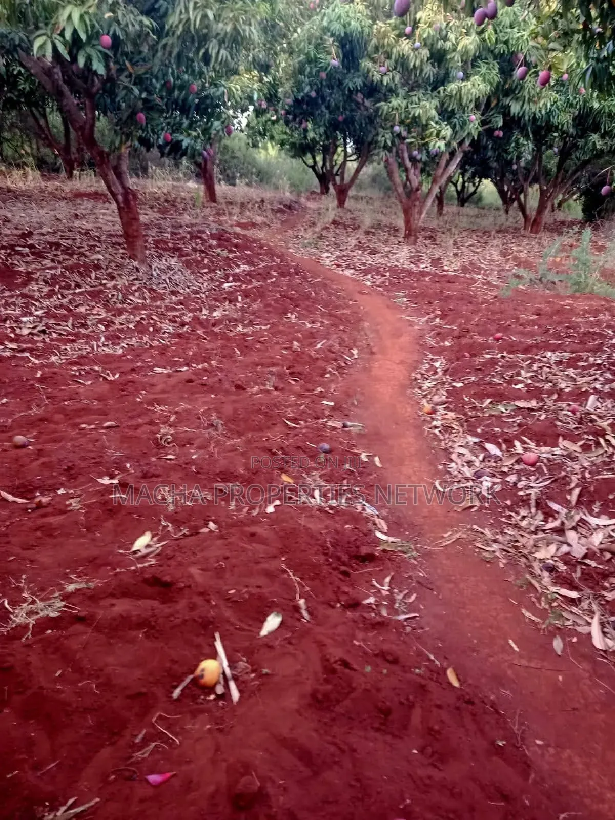 4 Acres Murang'a Makuyu for Sale