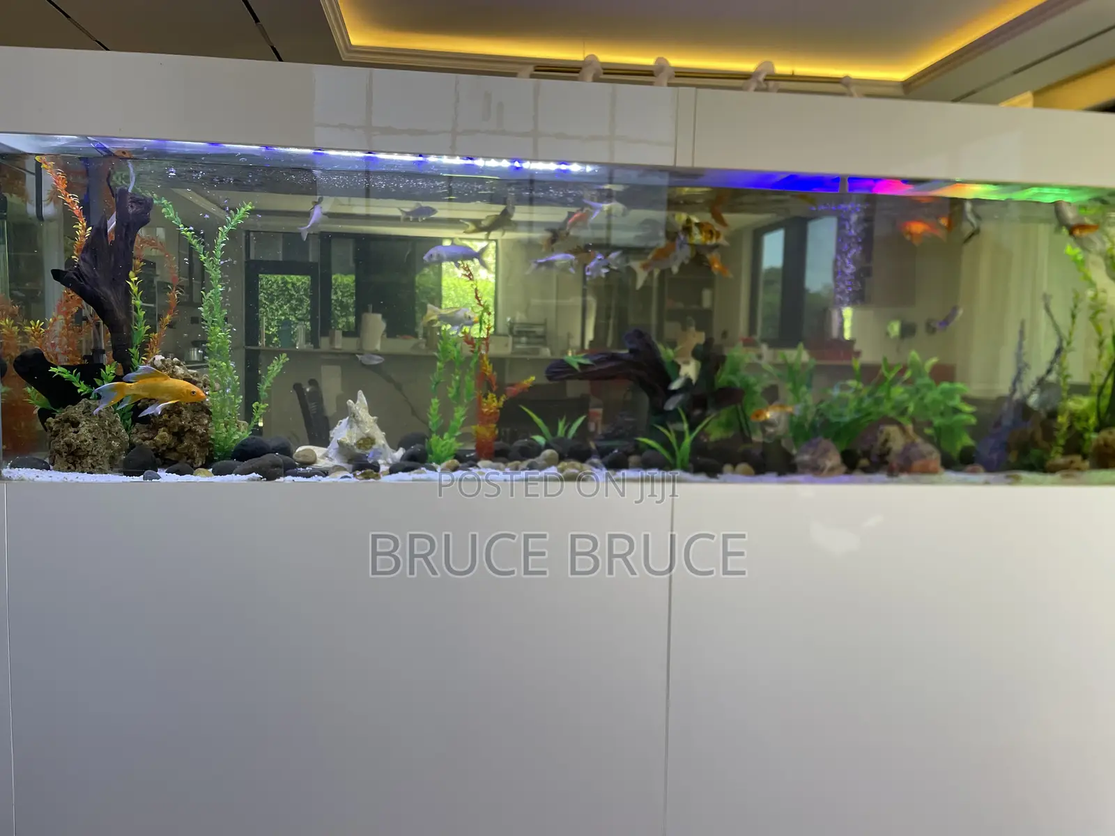 Aquarium Services