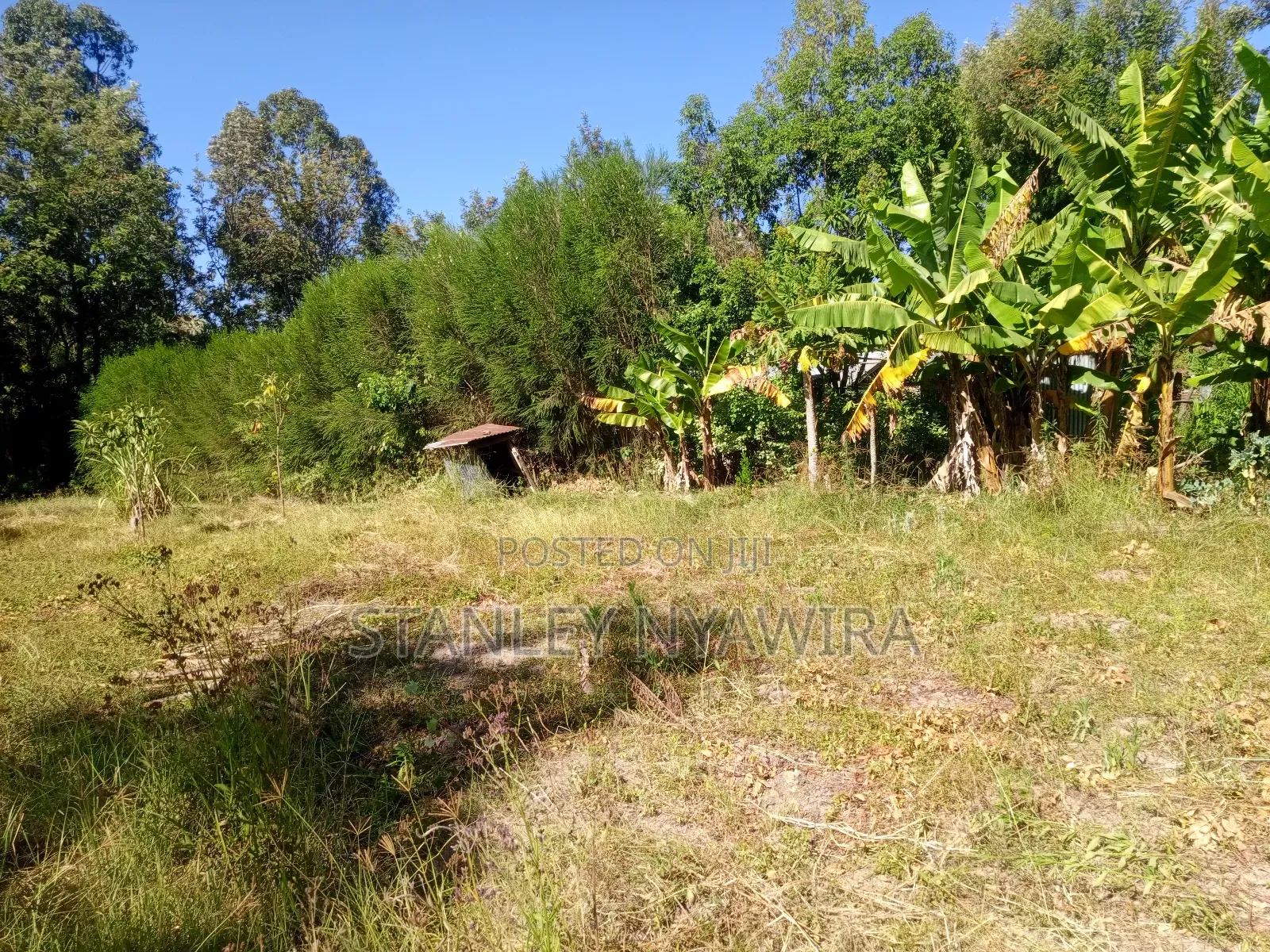 One Acre Behind Airstrip