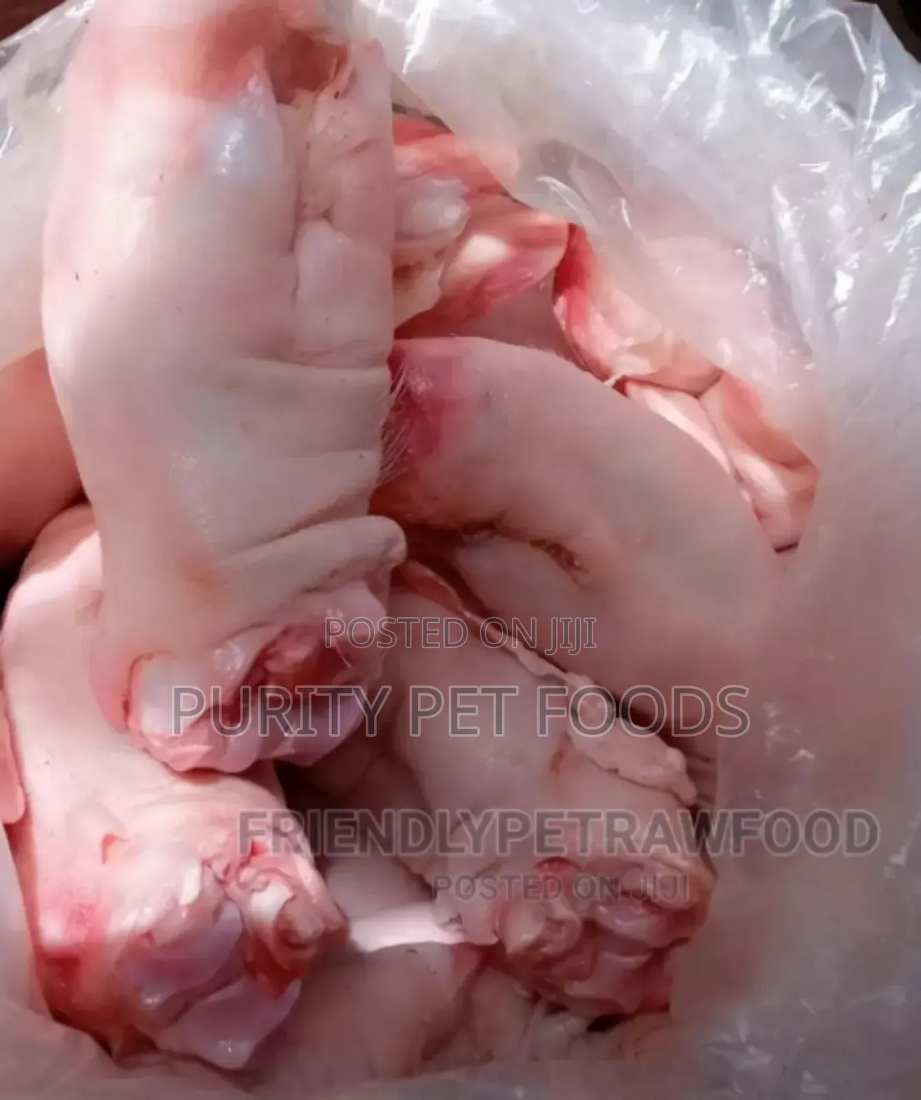 Pig Trotters Pig Feet