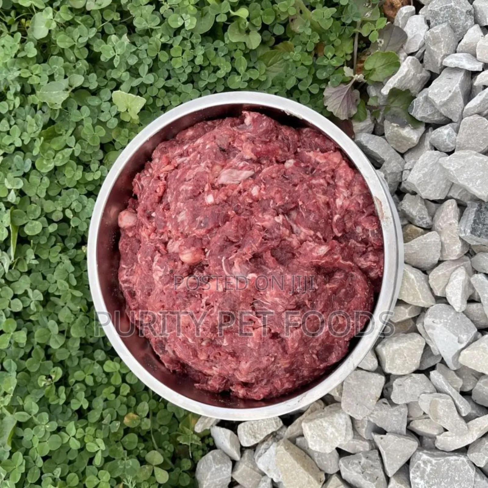 Minced Chicken For Dogs And Cats