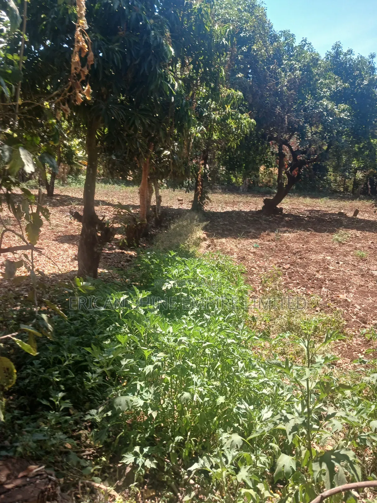 The Prime Land for Lease in Waiyaki Way