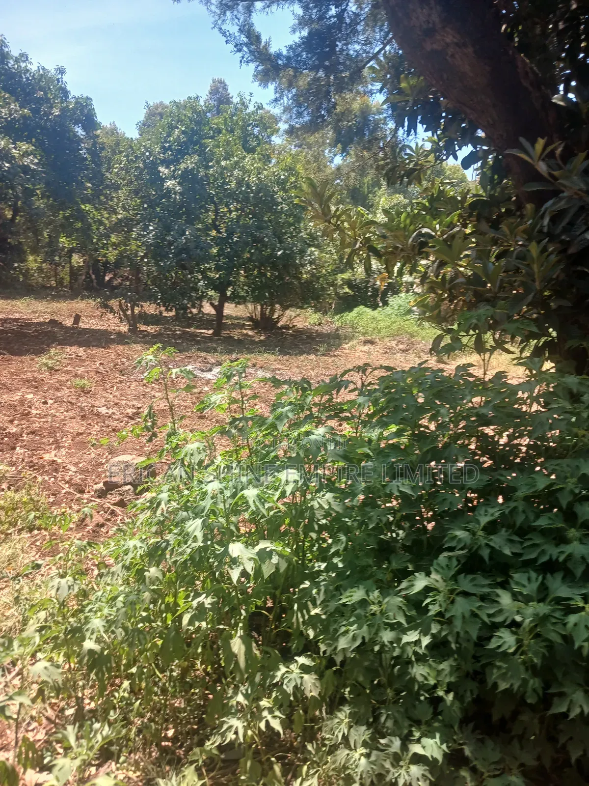 The Prime Land for Lease in Waiyaki Way