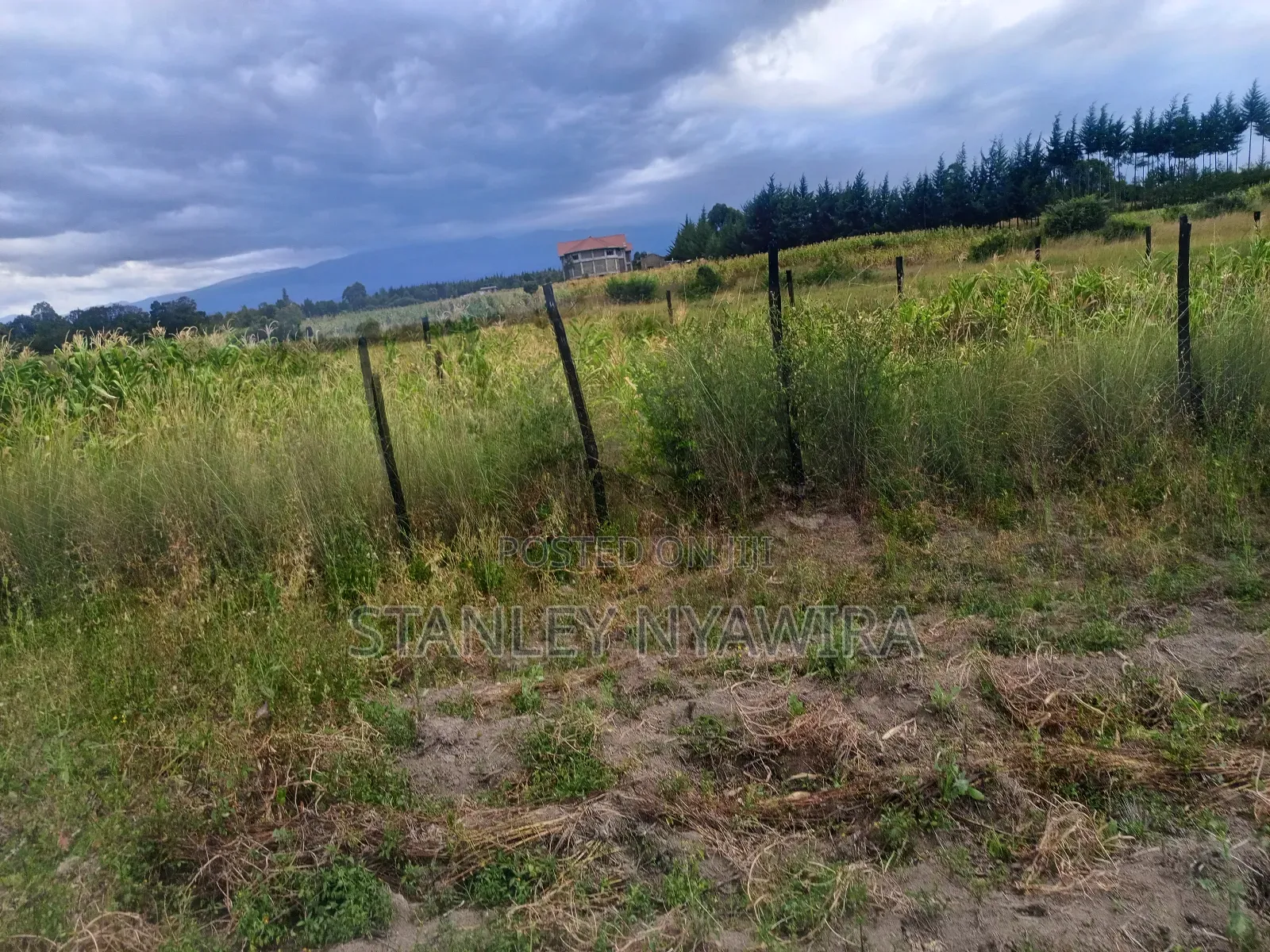 4 Acreas Nanyuki for Sale