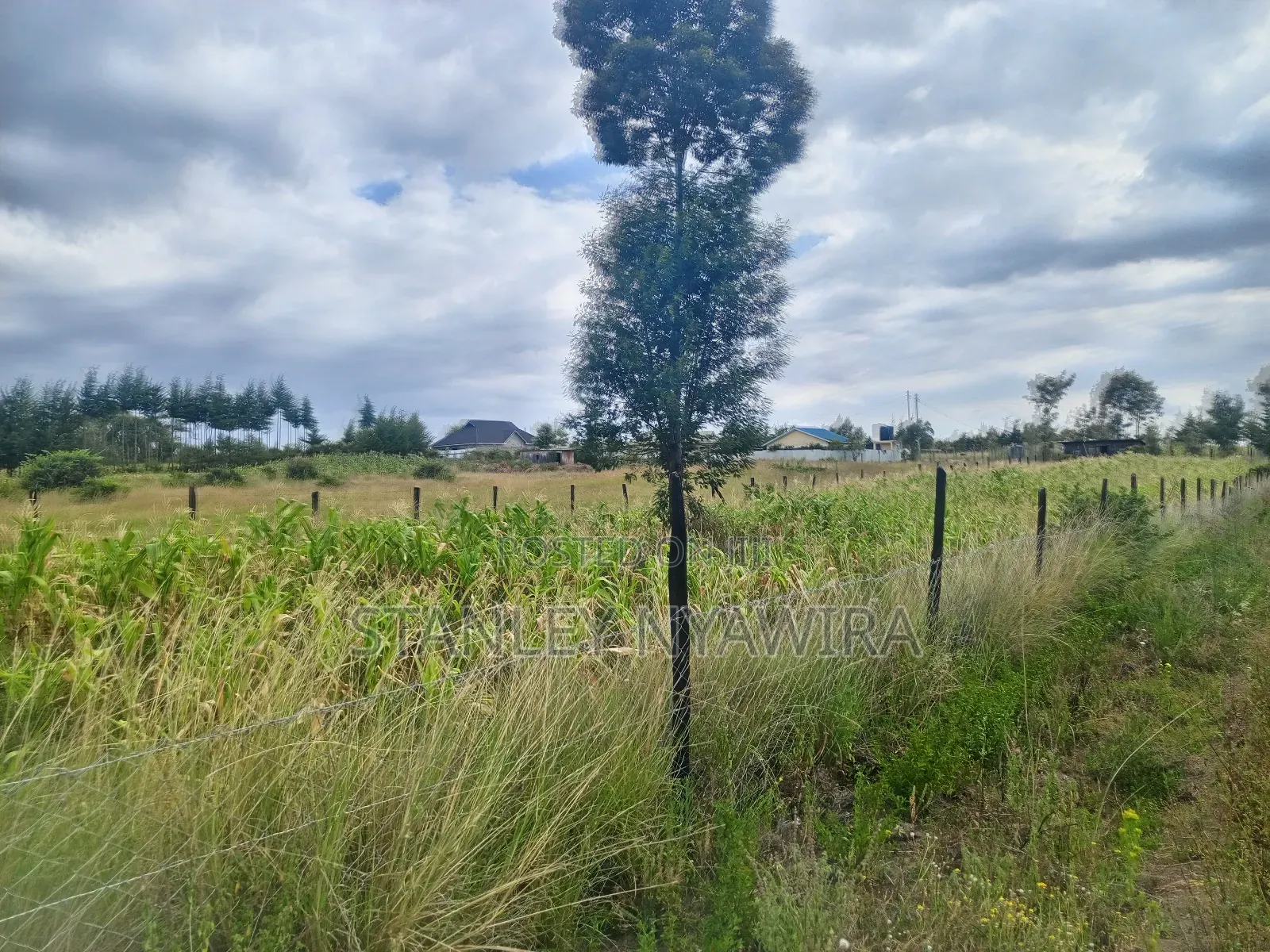 4 Acreas Nanyuki for Sale