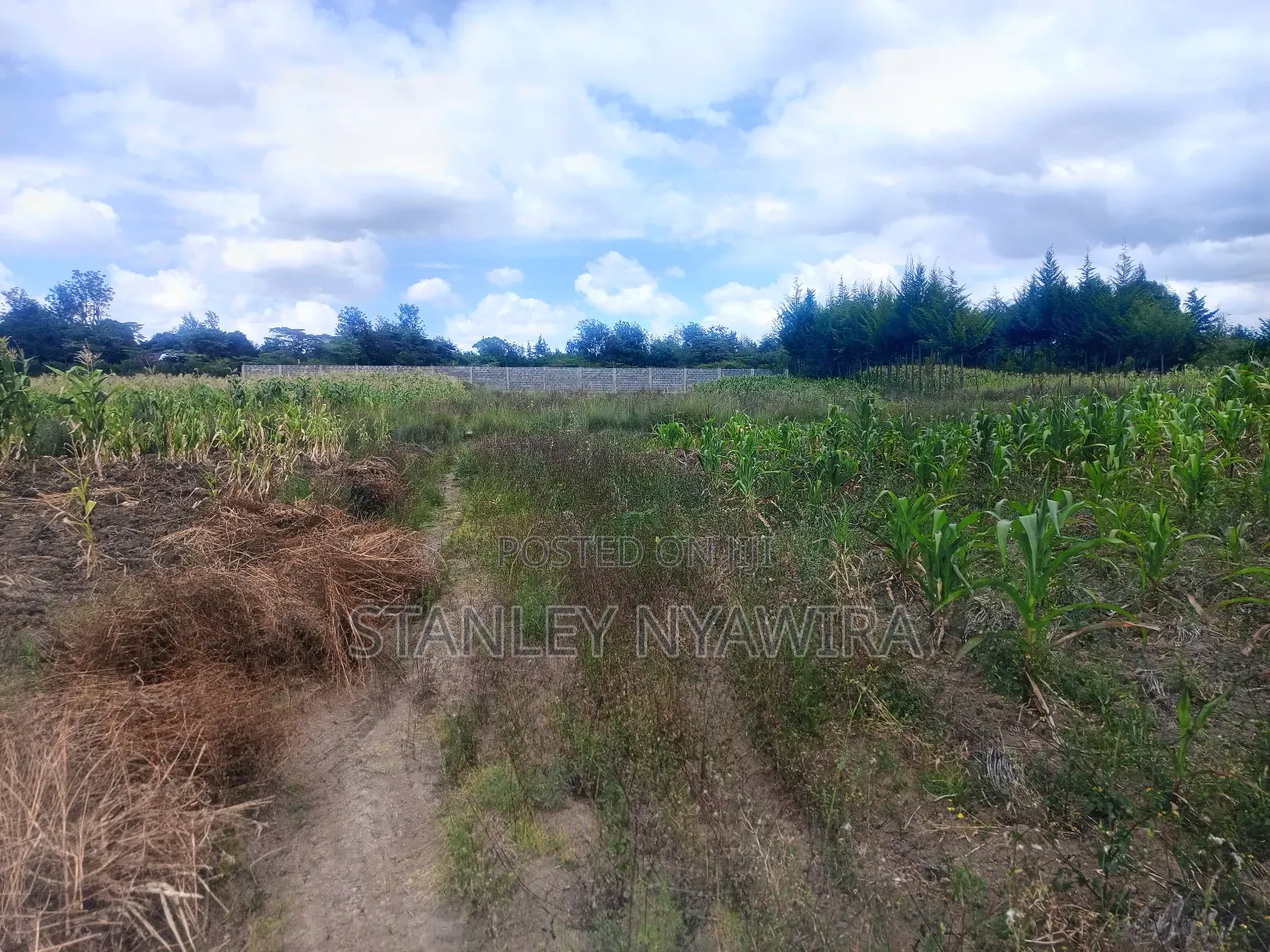 4 Acreas Nanyuki for Sale