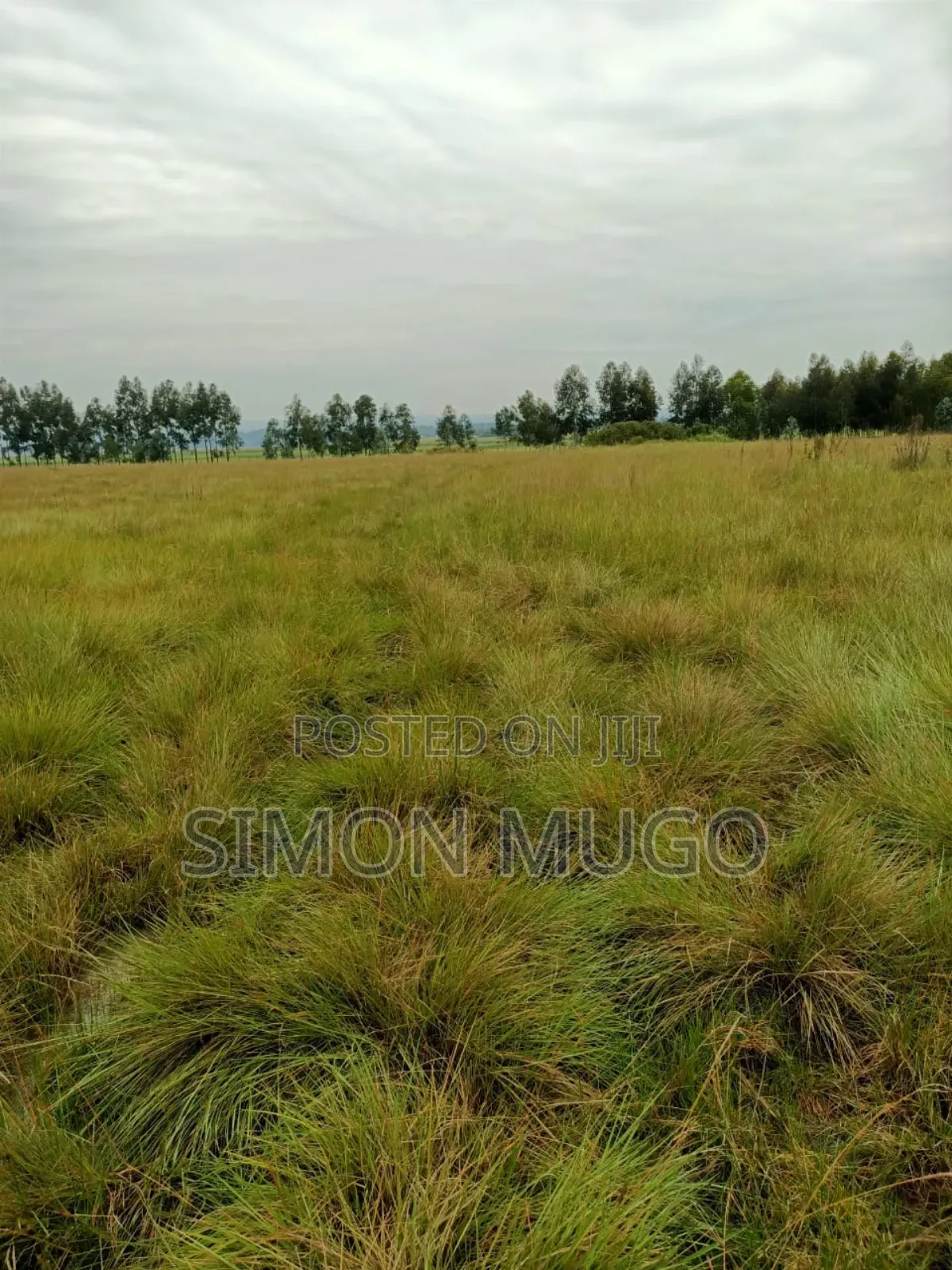 Nyahururu Mairu Inya Prime Agricultural 25 Acres on Tarmac Road