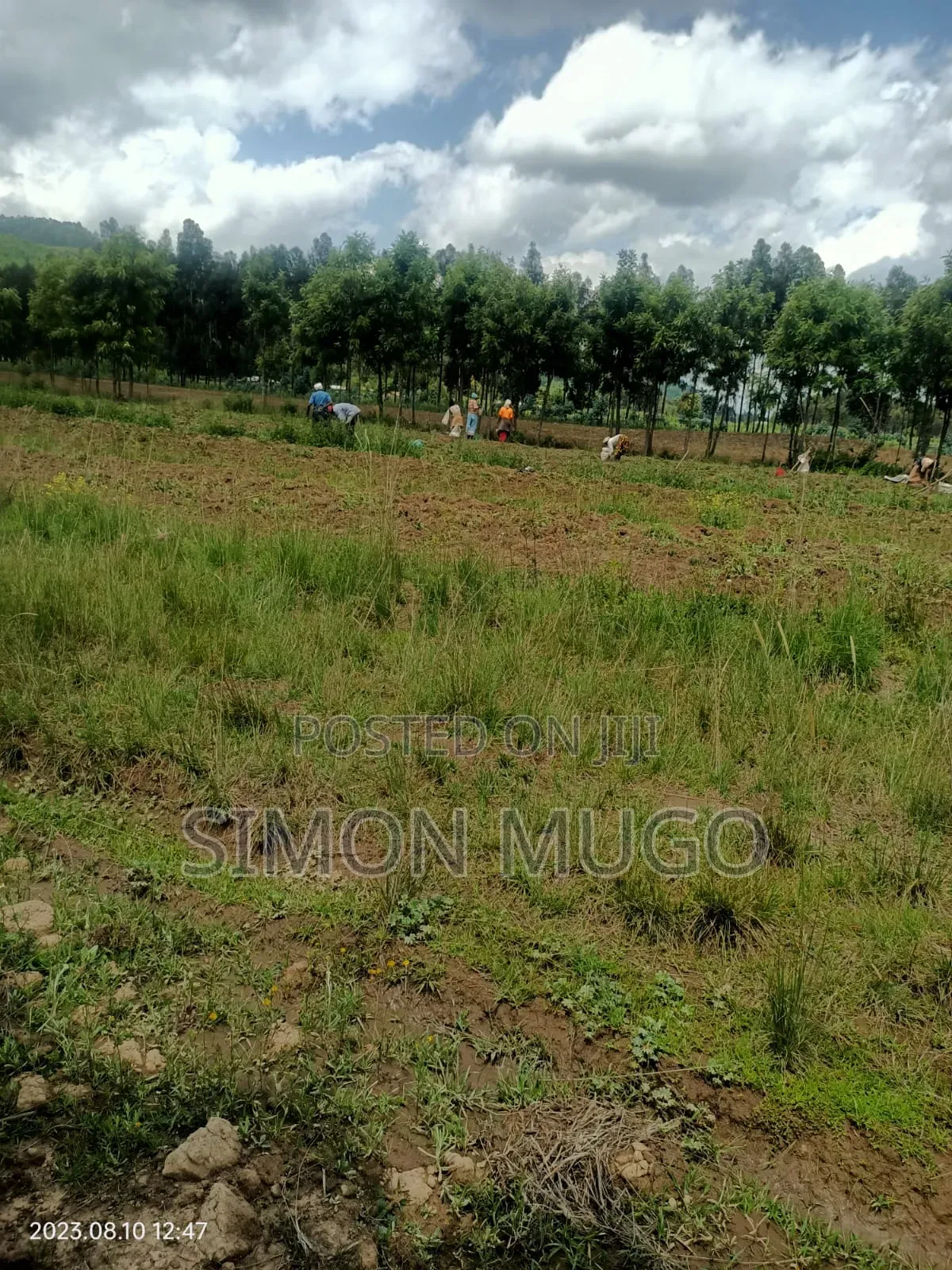 Nyahururu Mairu Inya Prime Agricultural 25 Acres on Tarmac Road
