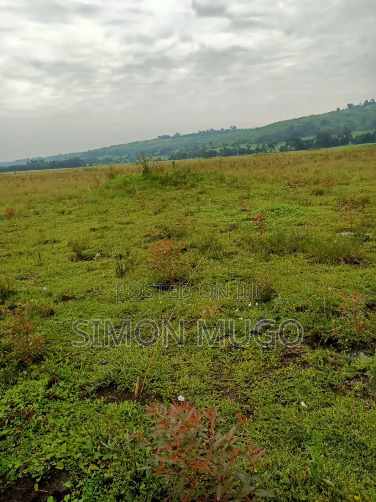 Nyahururu Mairu Inya Prime Agricultural 25 Acres on Tarmac Road