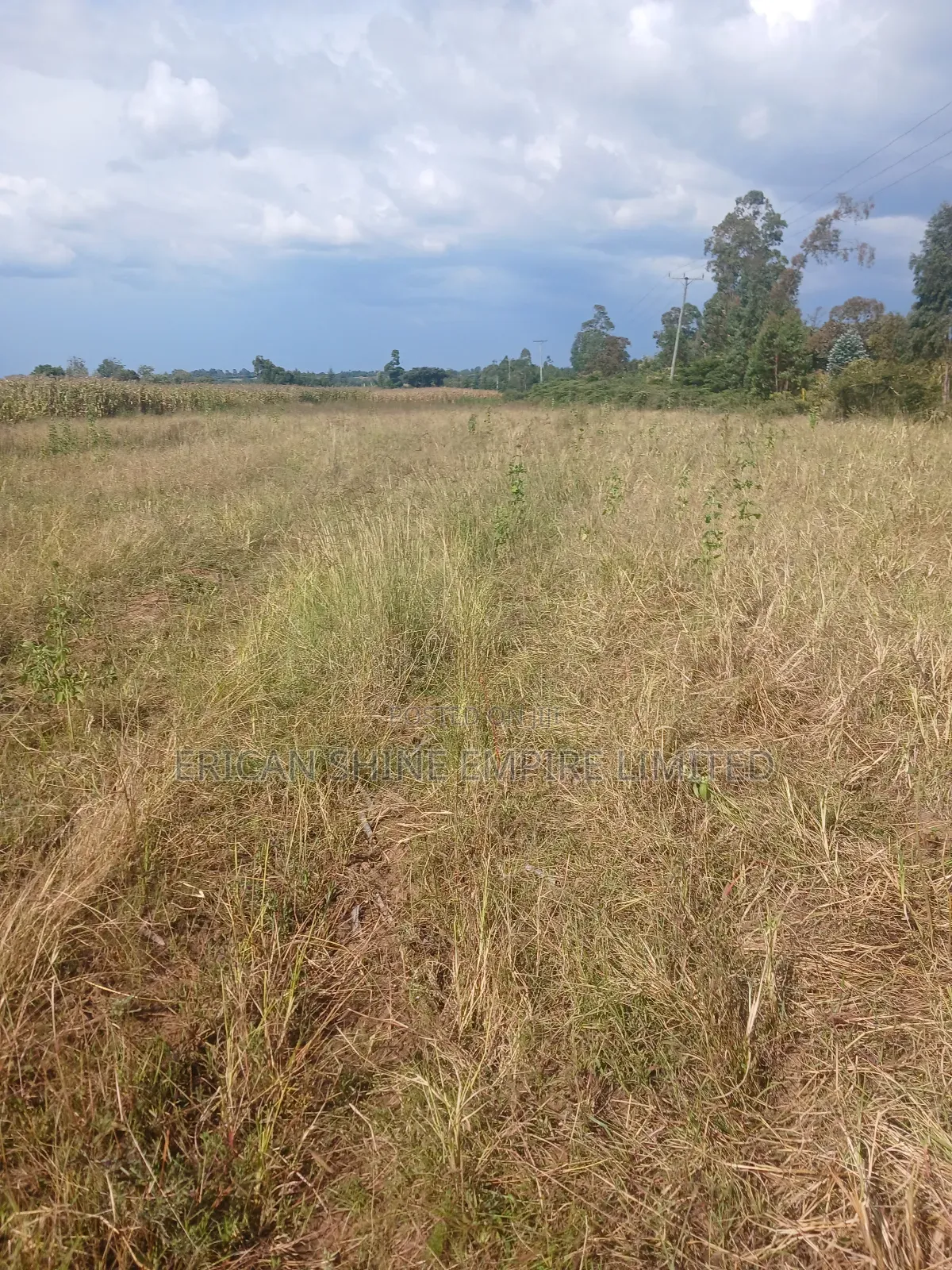 2 Acres Prime Land for Sale in Ngarua -Kinamba