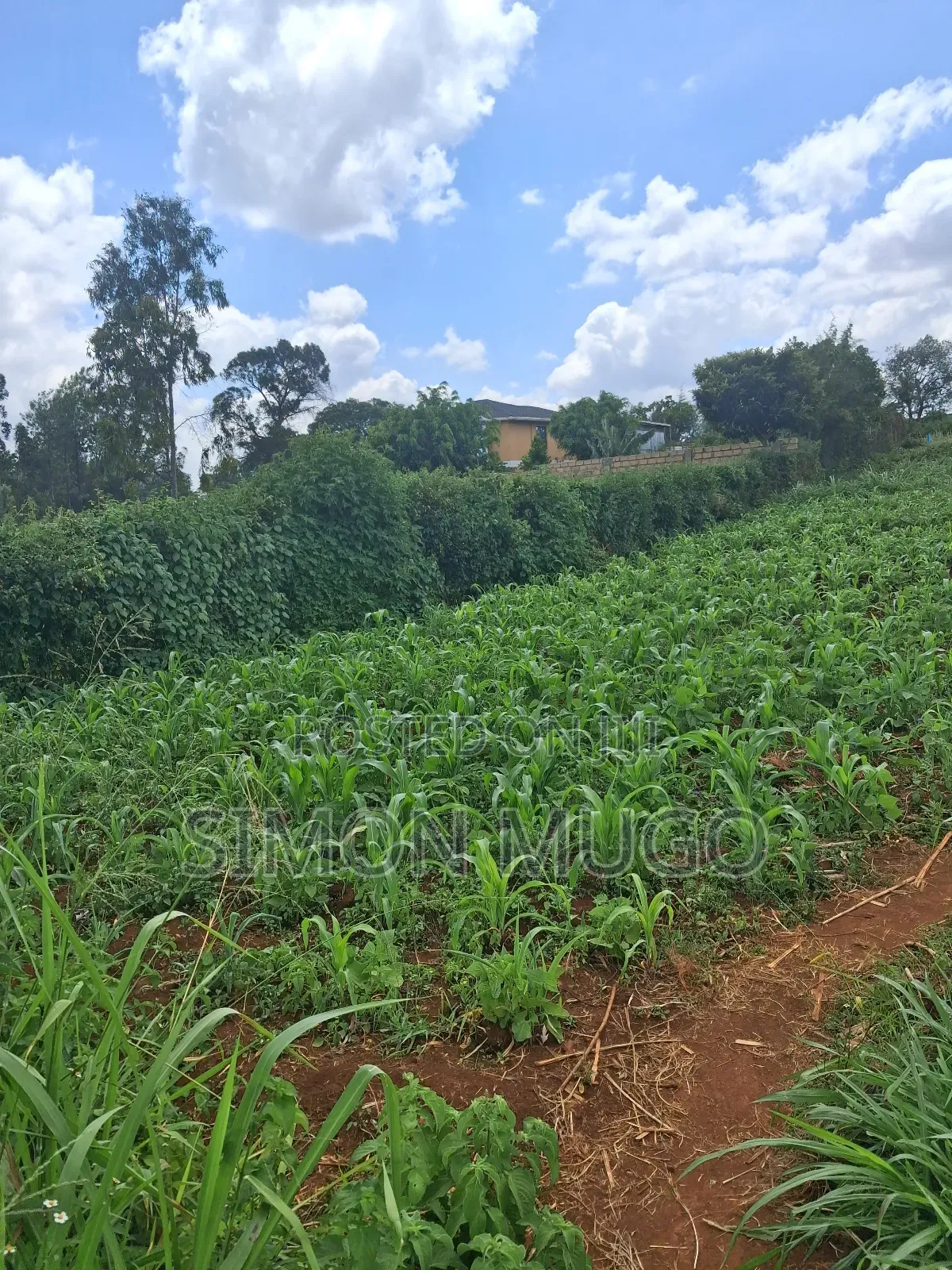 Kitsuru Prime Fairy Flat 10 Acres Near Kihingo Estate