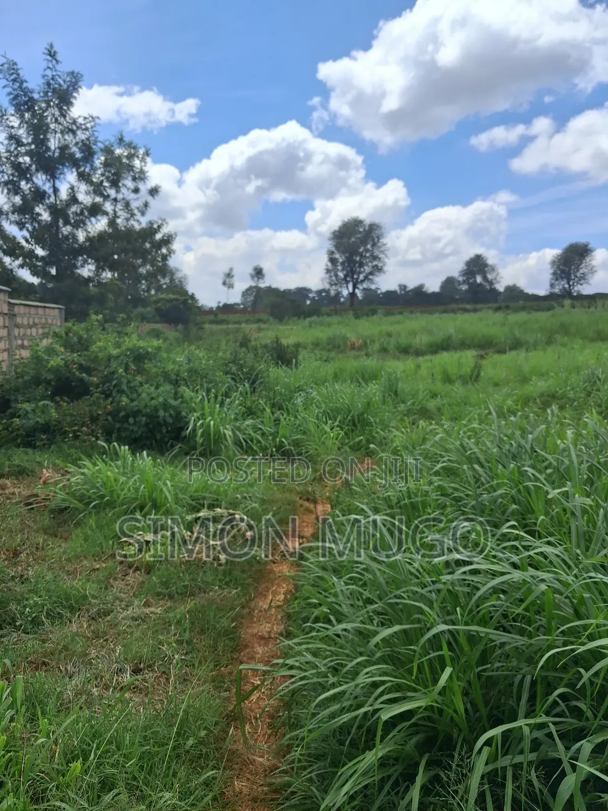 Kitsuru Prime Fairy Flat 10 Acres Near Kihingo Estate