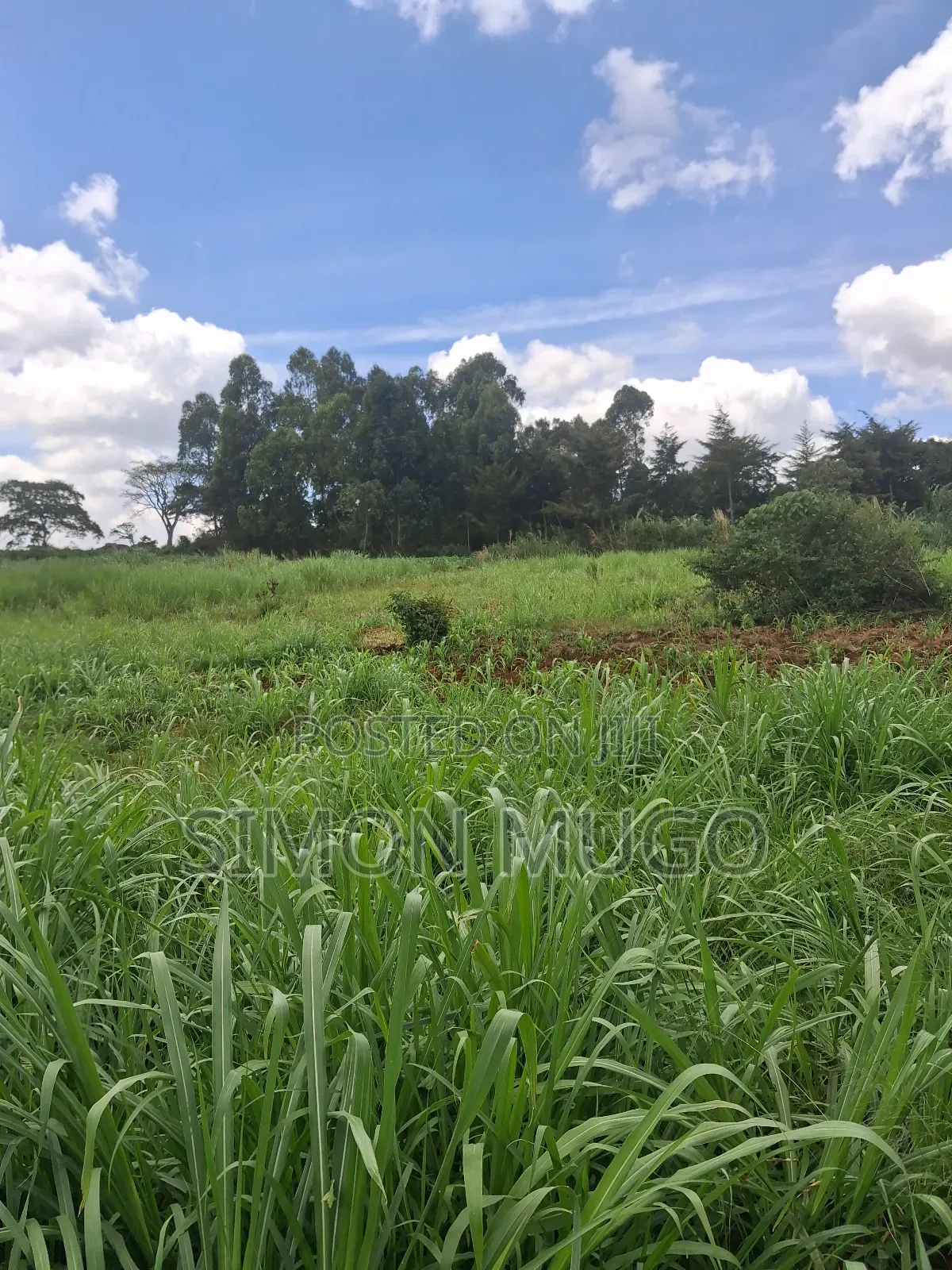 Kitsuru Prime Fairy Flat 10 Acres Near Kihingo Estate