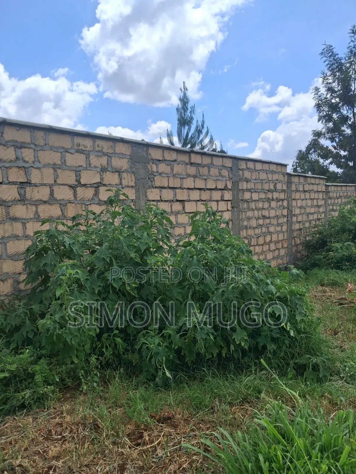 Kitsuru Prime Fairy Flat 10 Acres Near Kihingo Estate