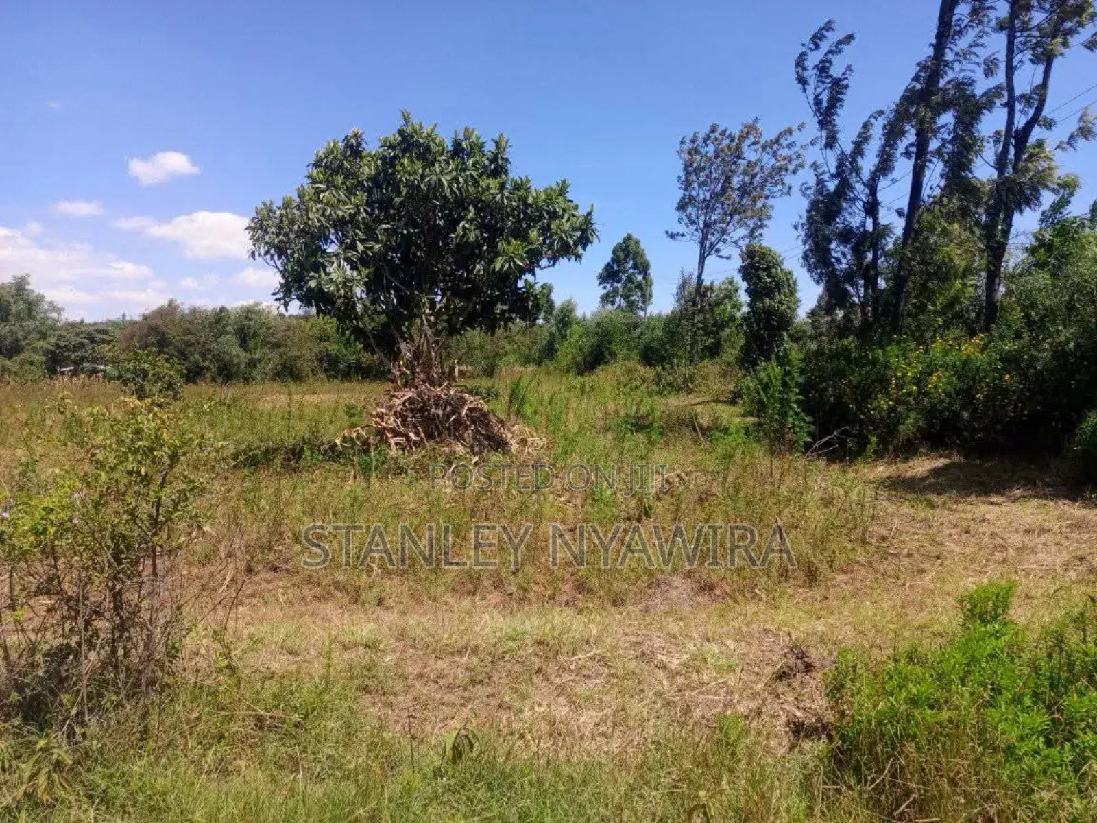 One Acre Nanyuki Mwereri