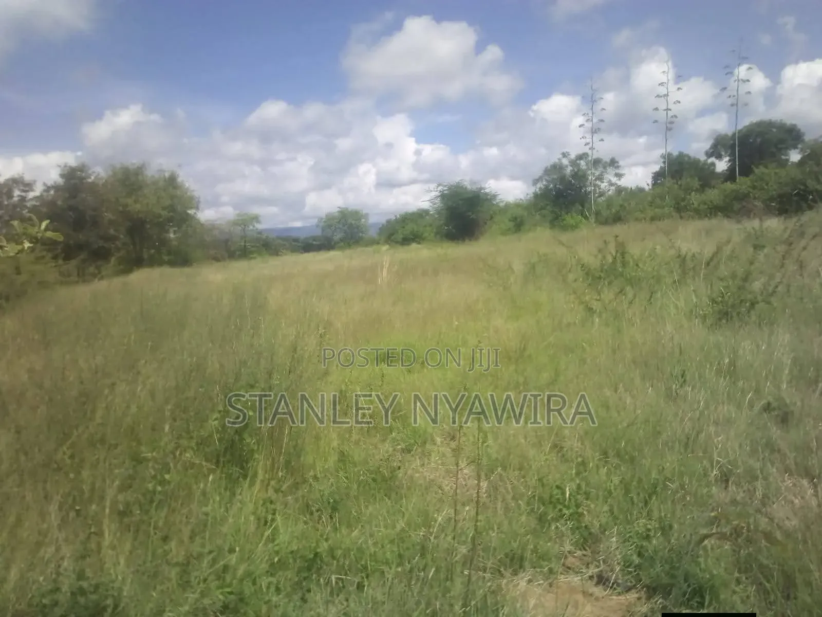 Nanyuki Land for Sale With 5 Bedroom House