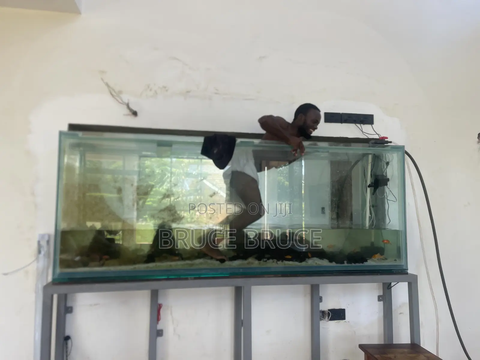 Aquarium Services
