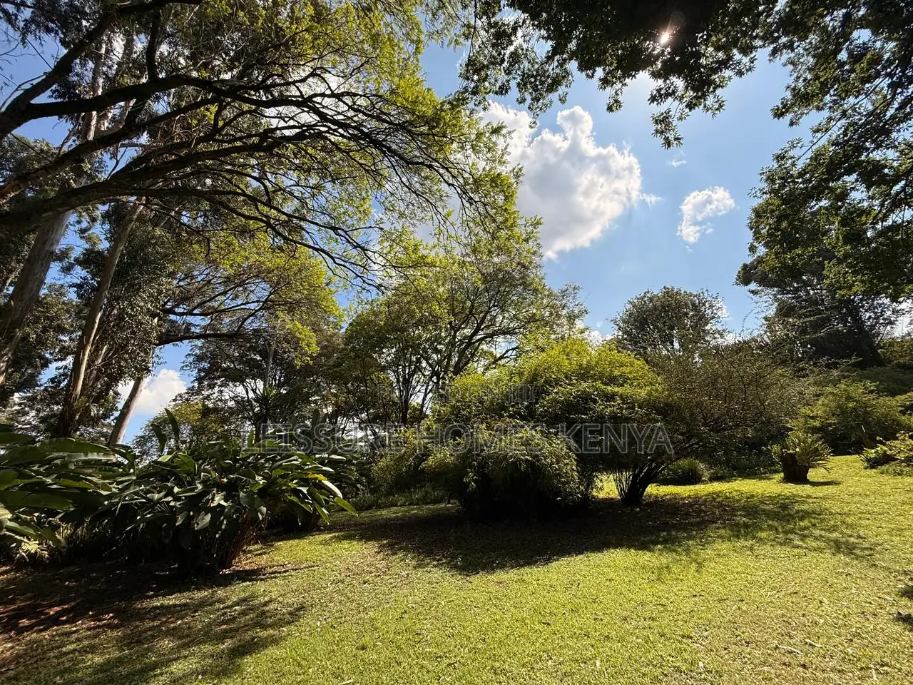 Prime 2.5 Acre Residential Land