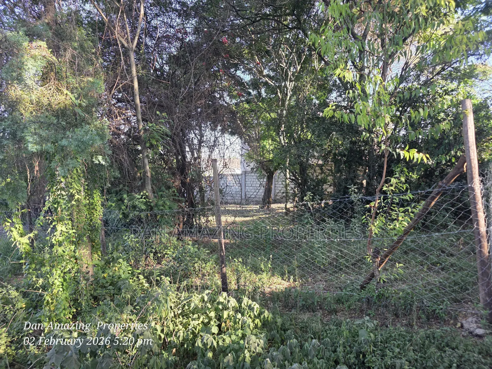 1/4 Acre in Ngong Olkeri for Sale Ideal for Residential Homes