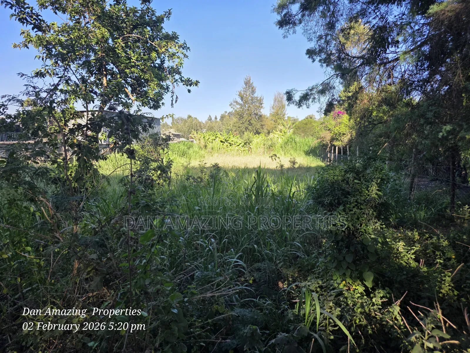 1/4 Acre in Ngong Olkeri for Sale Ideal for Residential Homes