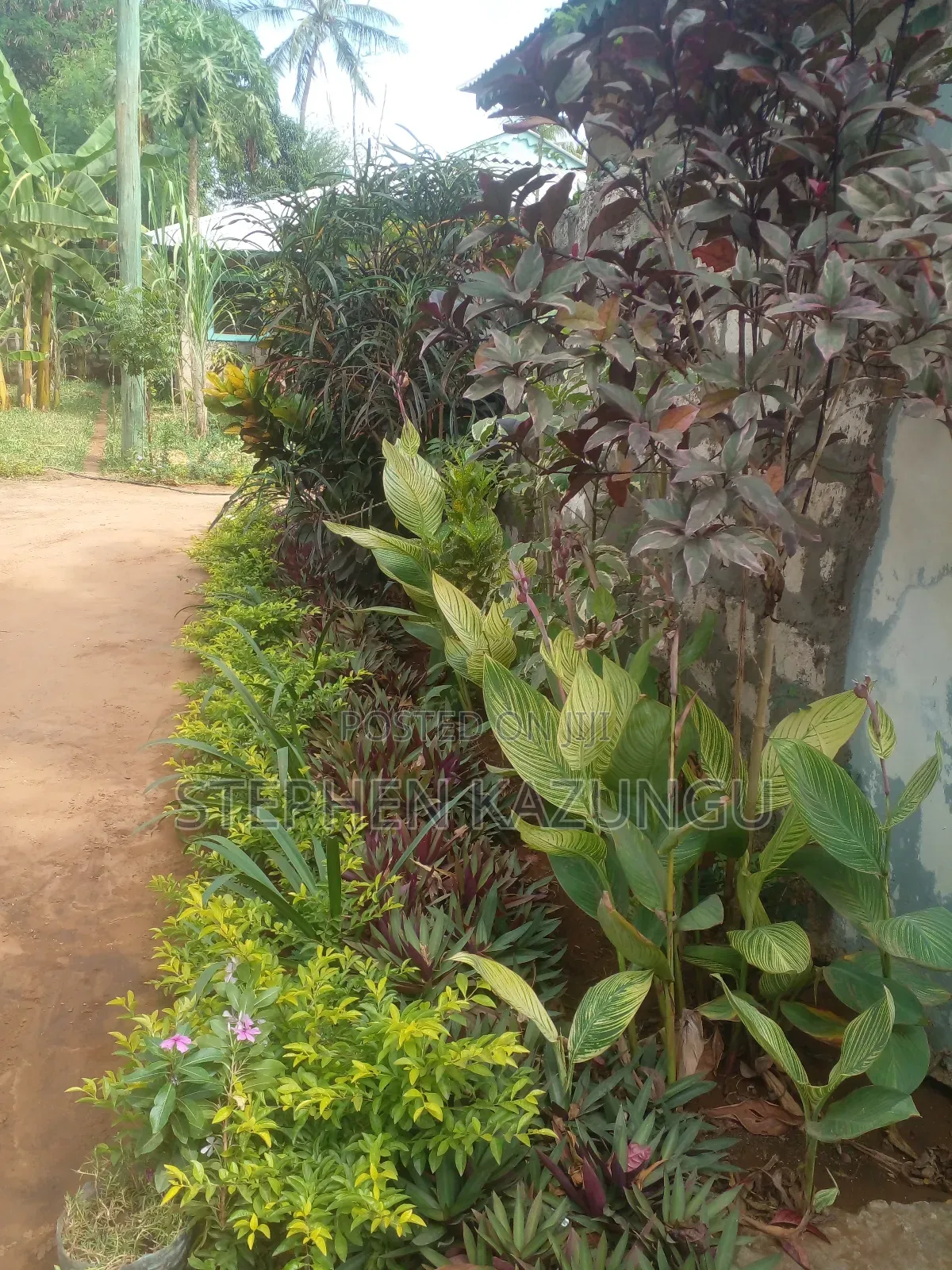 1bdrm House in Eagleways Inn, Malindi for rent
