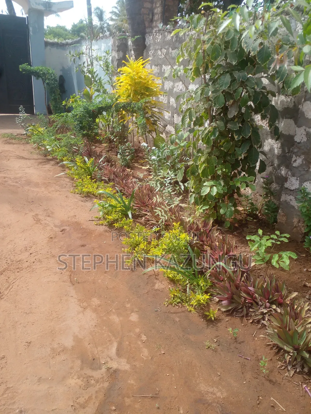 1bdrm House in Eagleways Inn for rent