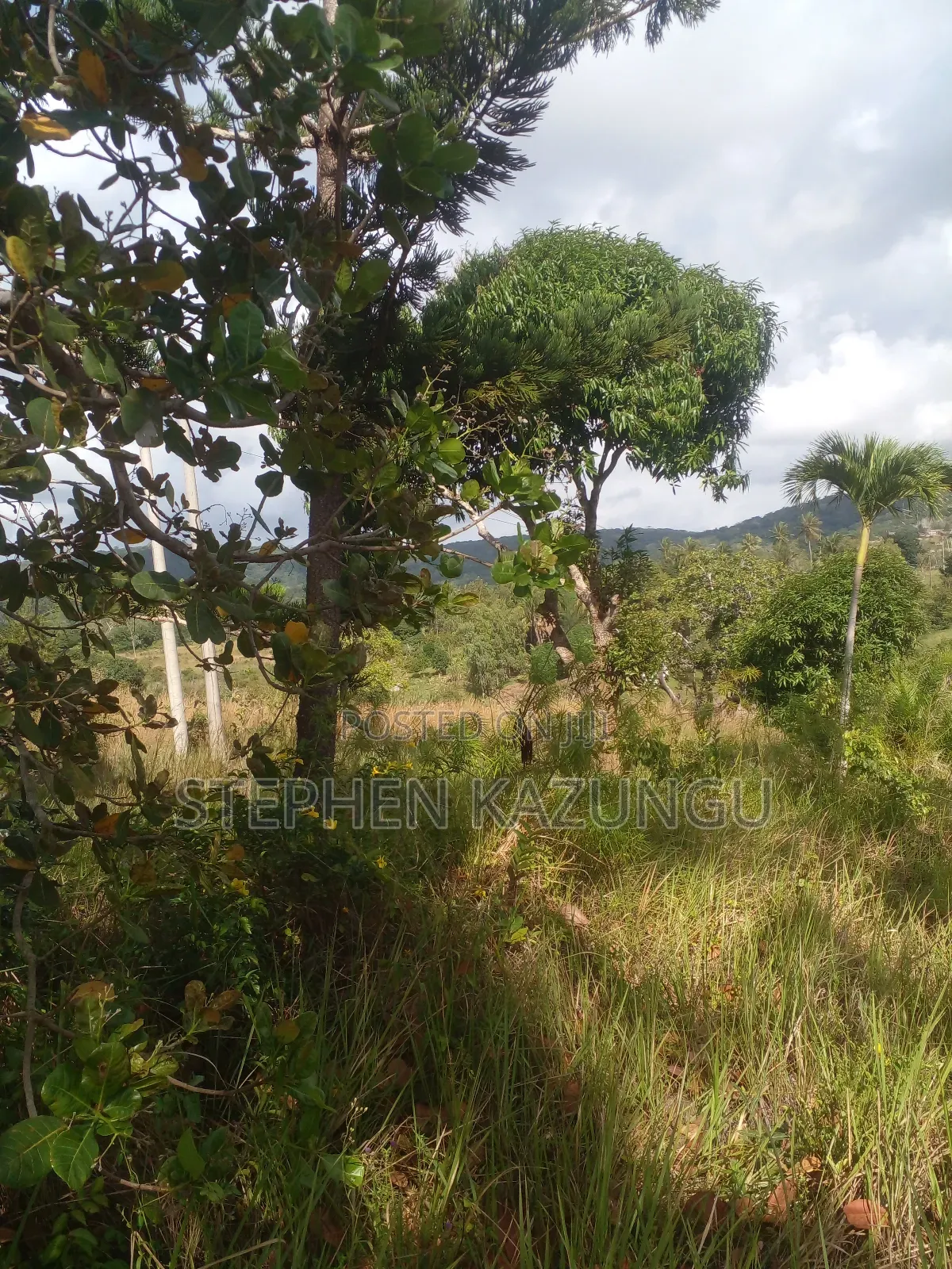 5 Acres of Land on Sale in Kwale After Tsimba Town.