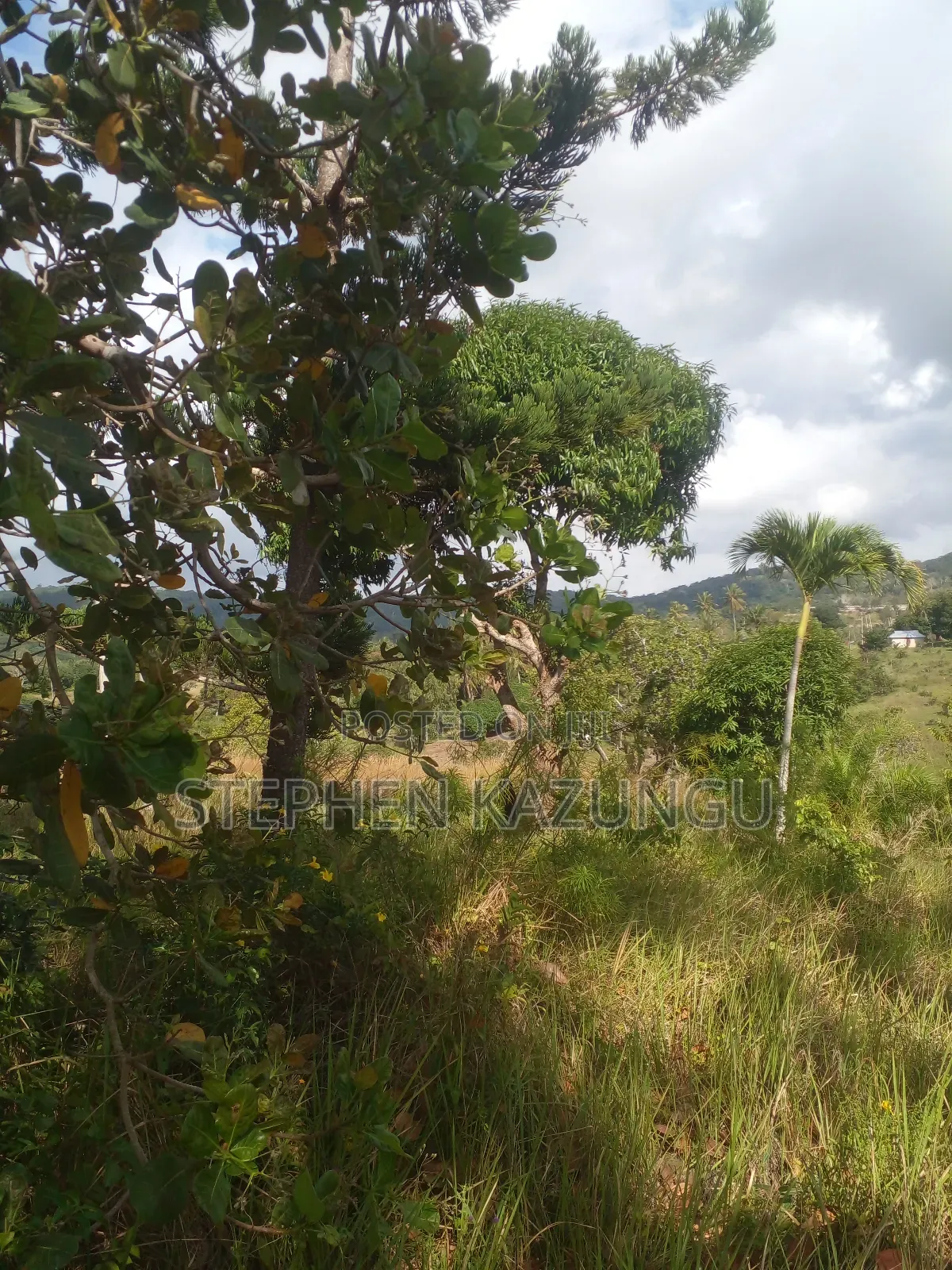 5 Acres of Land on Sale in Kwale After Tsimba Town.