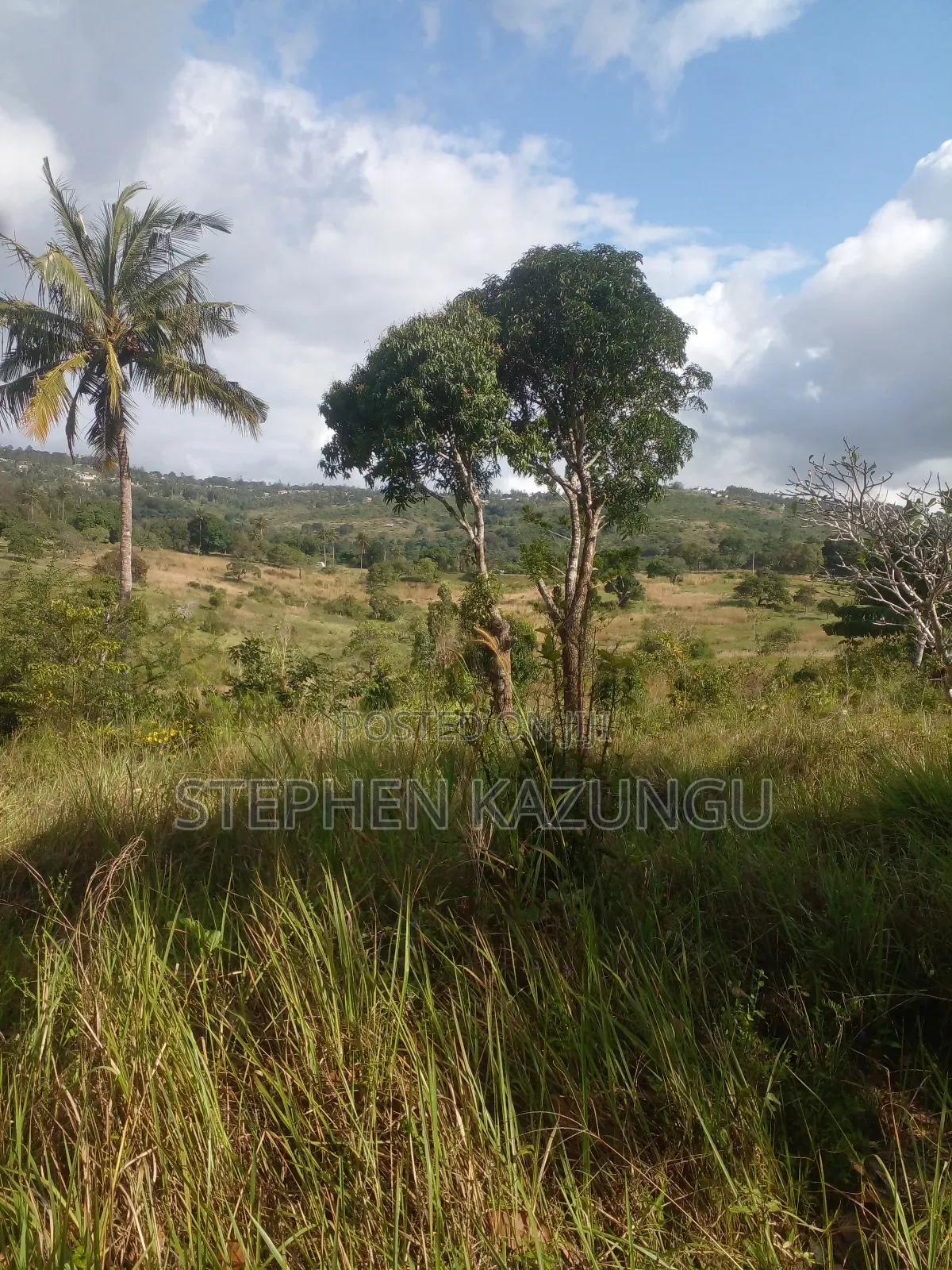 5 Acres of Land on Sale in Kwale After Tsimba Town.