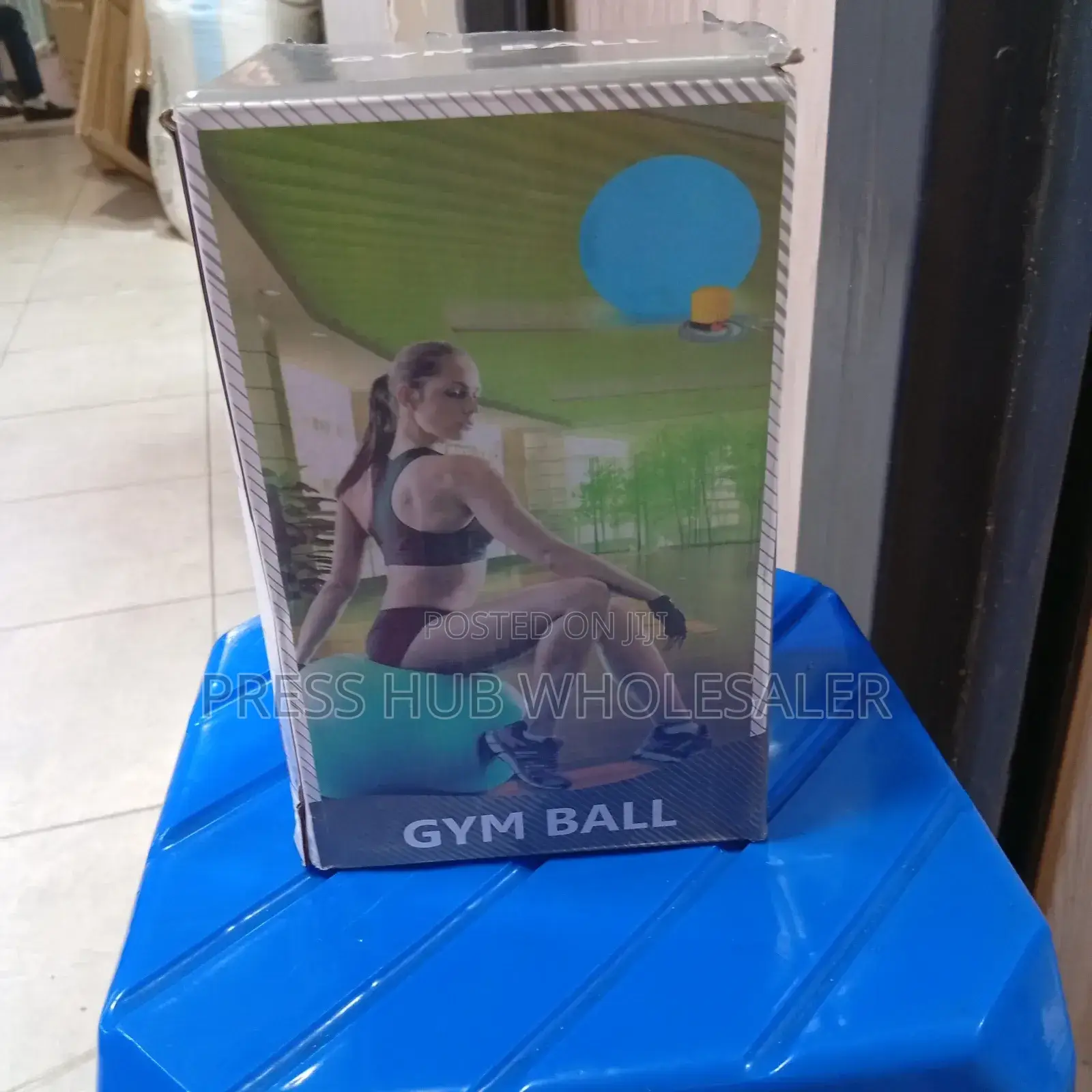 Total Body Gym Ball Workout