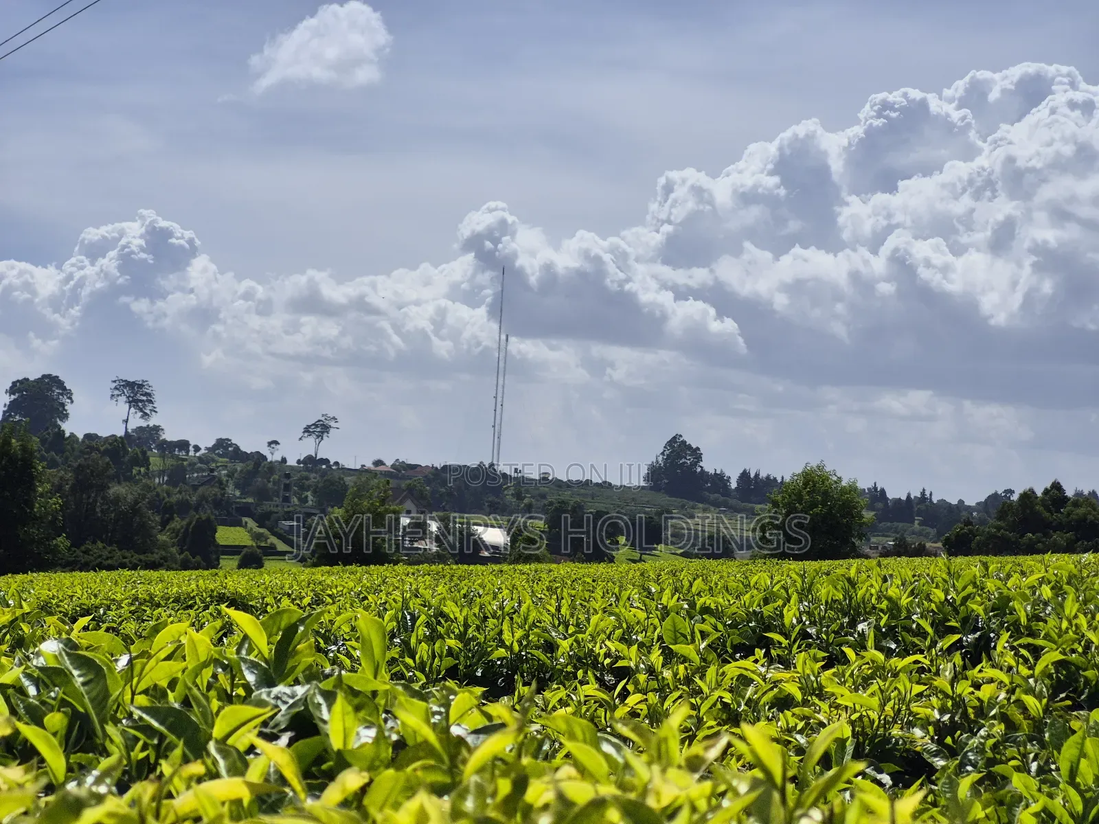 Land for Sale in Riara Ridge,Tigoni