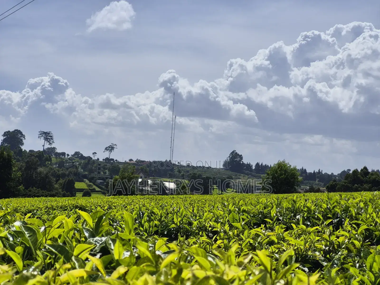 Land for Sale in Riara Ridge,Tigoni