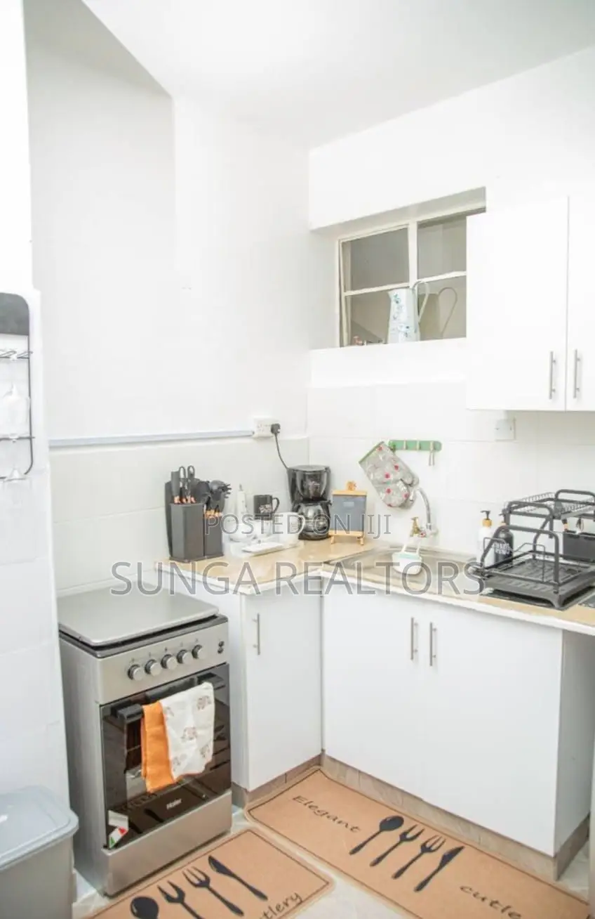Commercial Ground Floor Apartment for Rent
