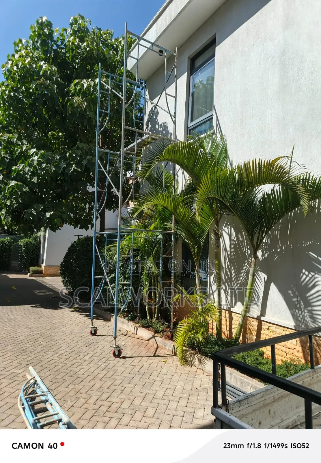 Buy or Sell Scaffolds With the Best in the Market Today!