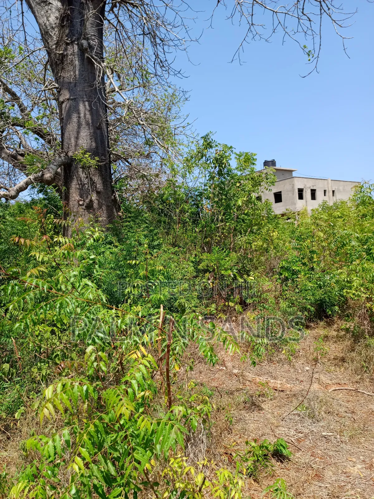 One Acre in Villa Mandhari/Manyatta Area in Diani on Sale!