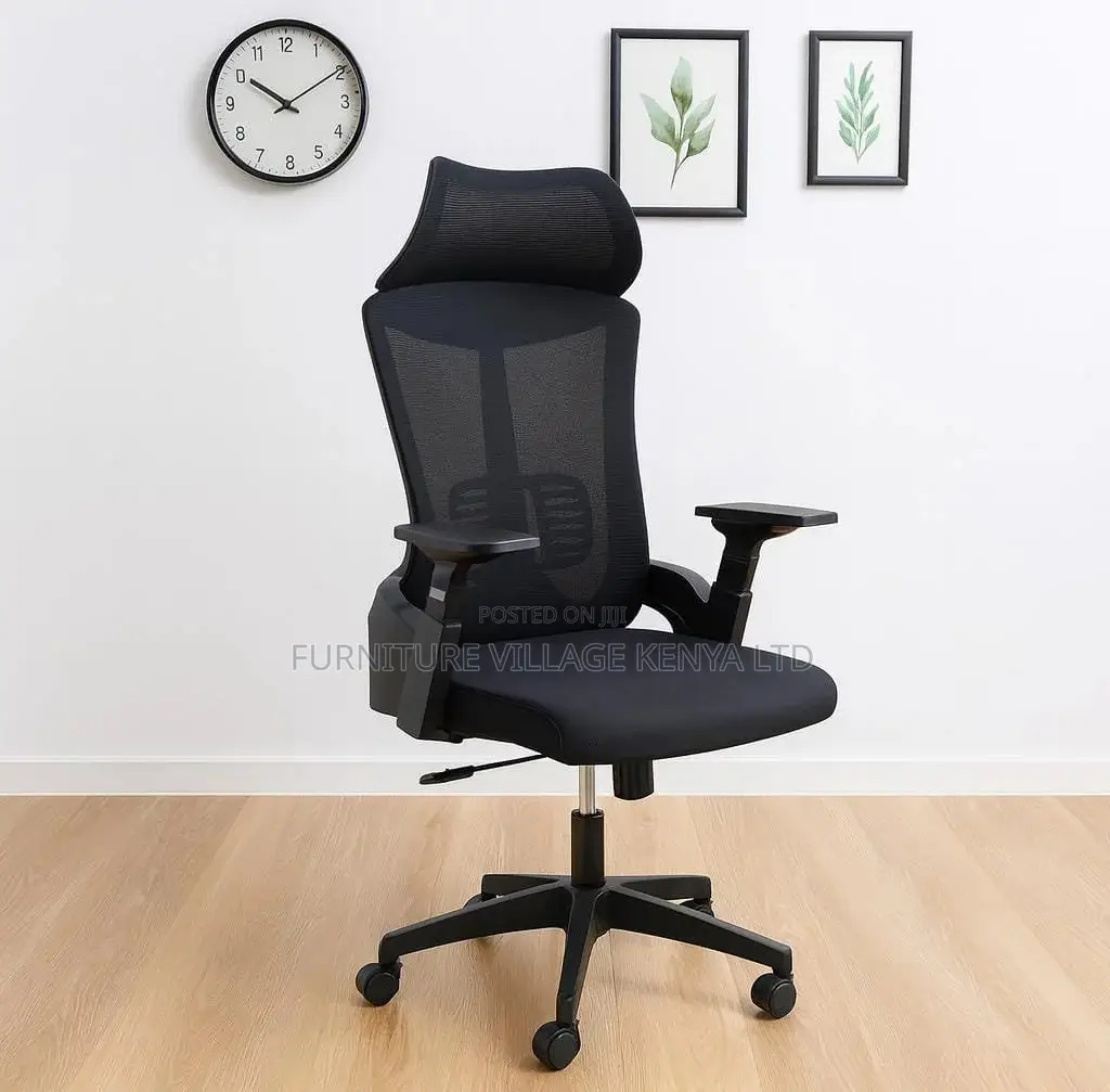 High-back Chairs: Exeutive Lama Orthopedic Office Seat