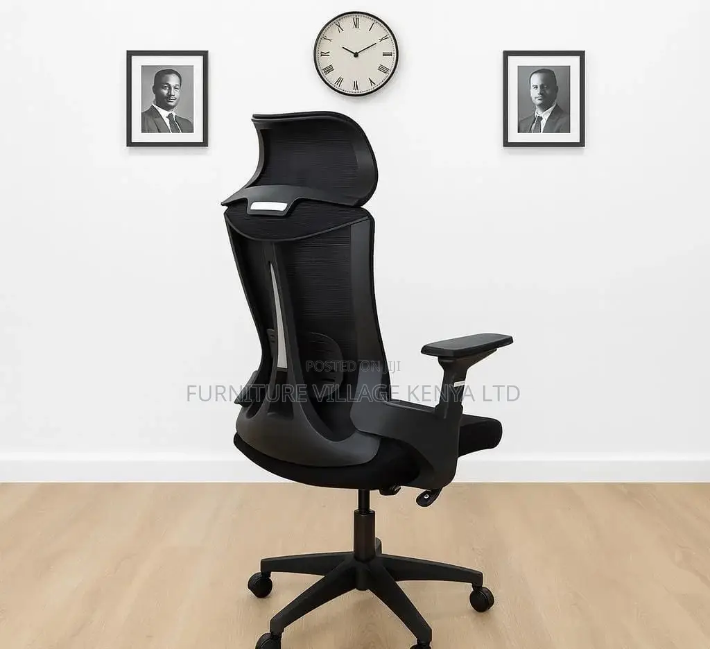 High-back Chairs: Exeutive Lama Orthopedic Office Seat