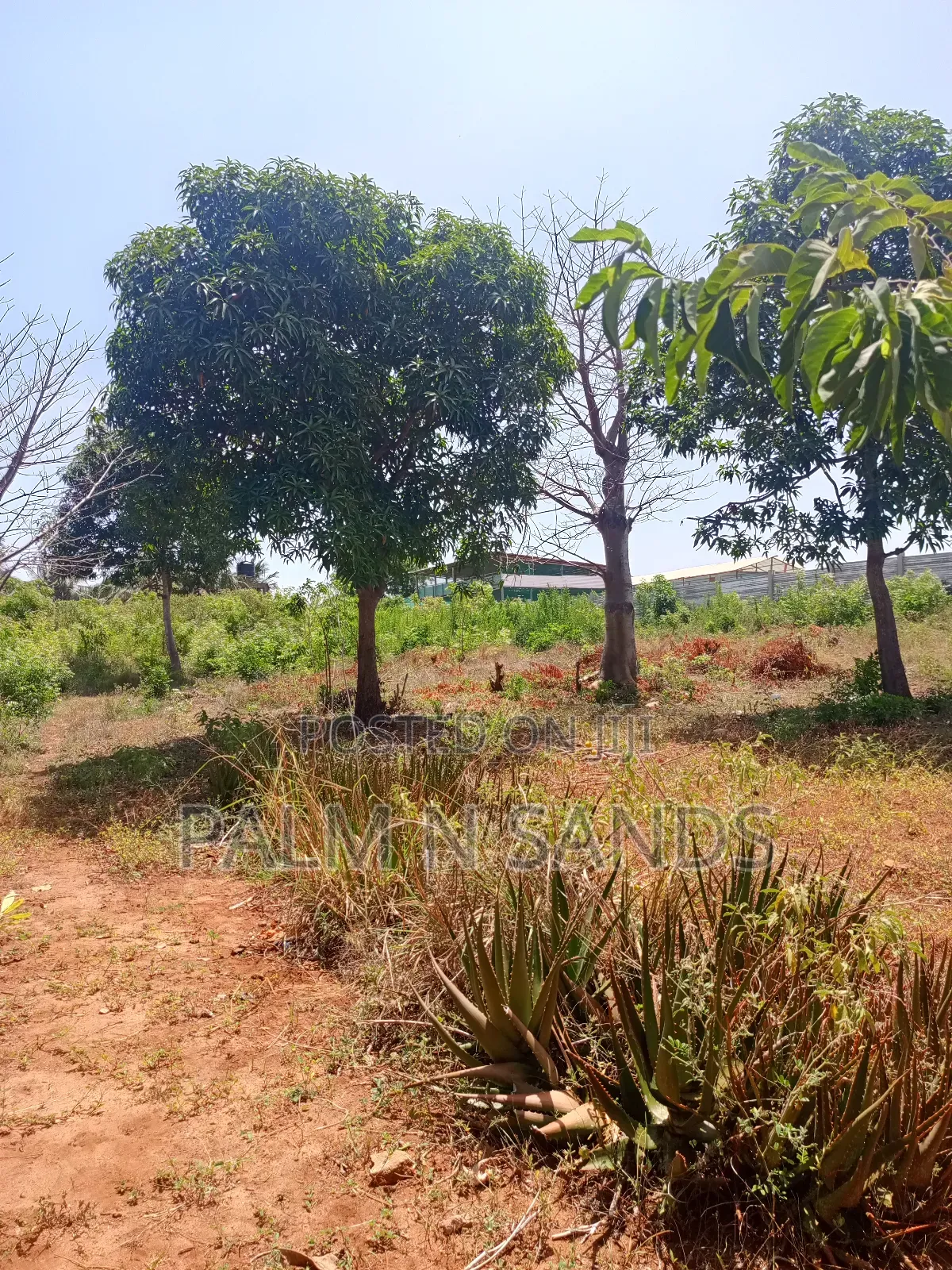 One Acre in Area Opposite Bahari Dhow Resort Diani on Sale