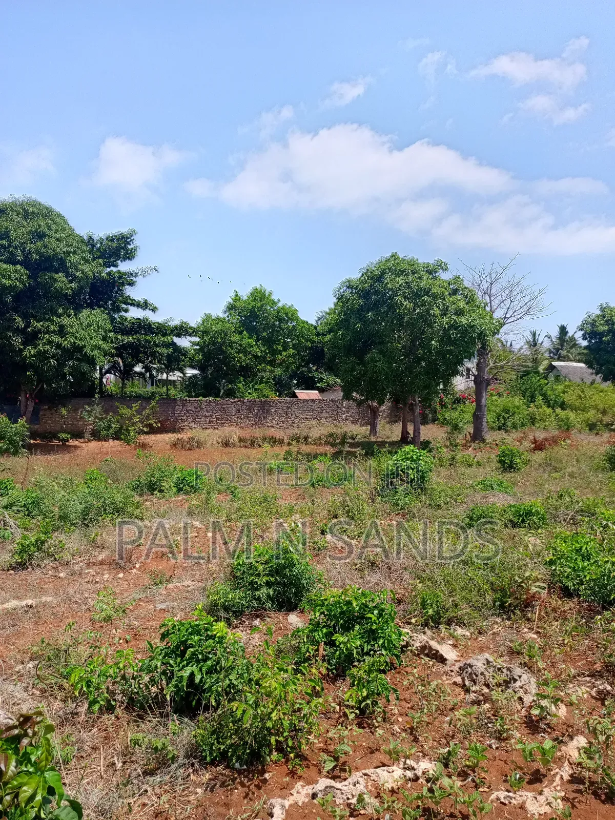 One Acre in Area Opposite Bahari Dhow Resort Diani on Sale